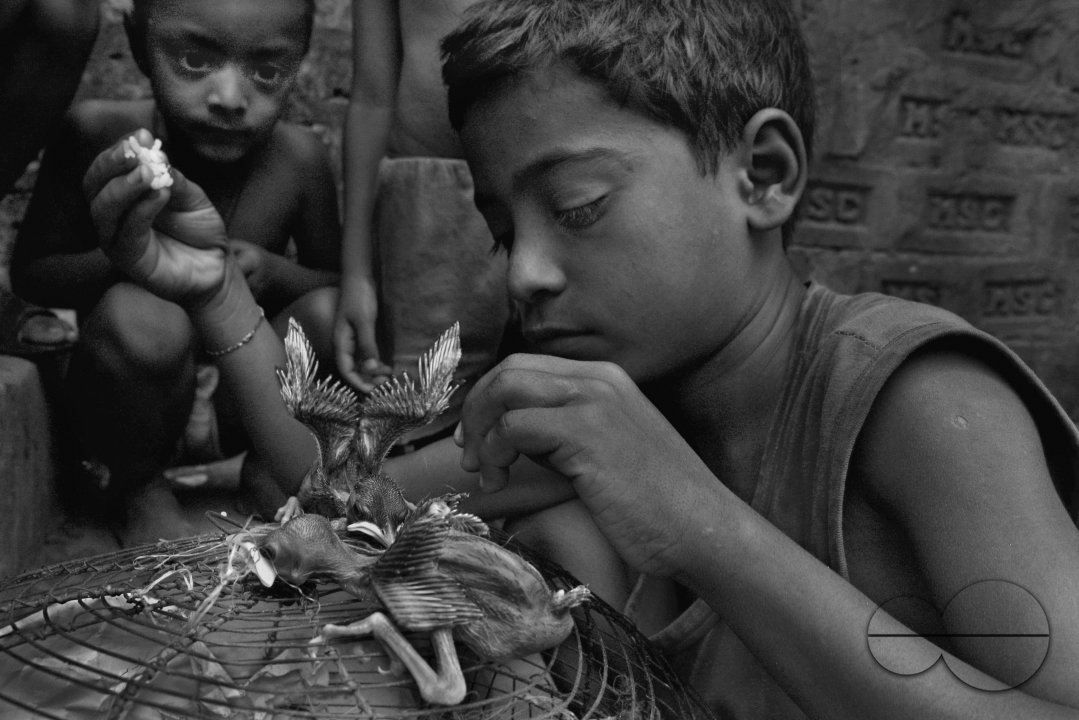 Stolen childhood