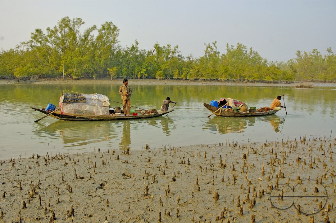 Sundarbans, Khulna, Bangladesh
