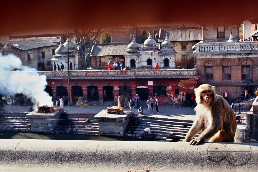 Pashupati Nath Temple