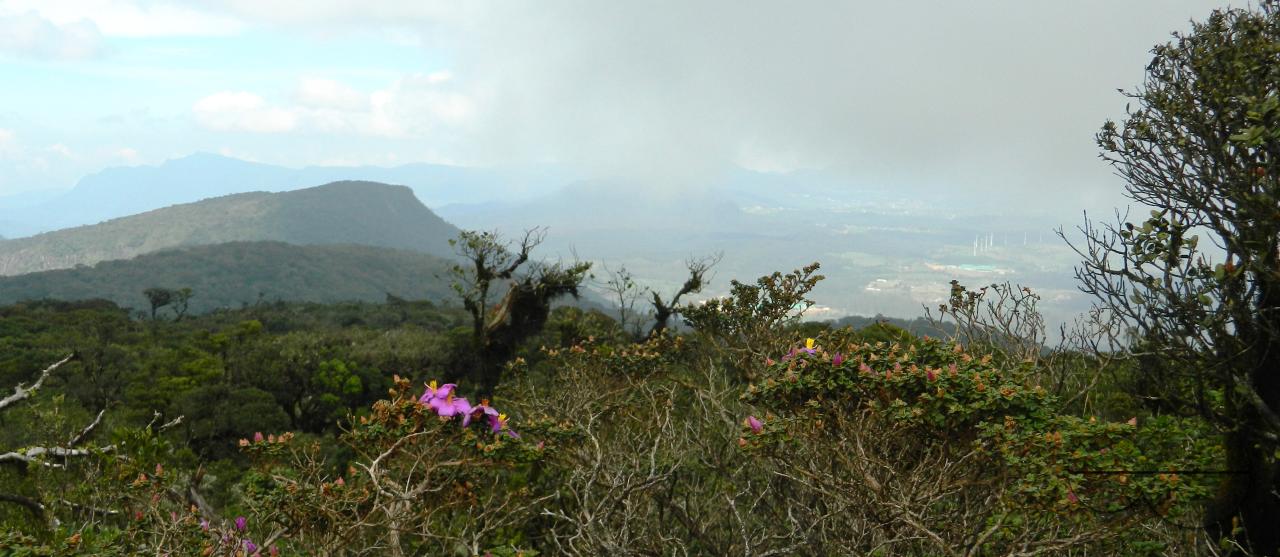 MWC052360