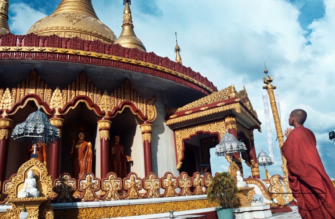 MWC019144