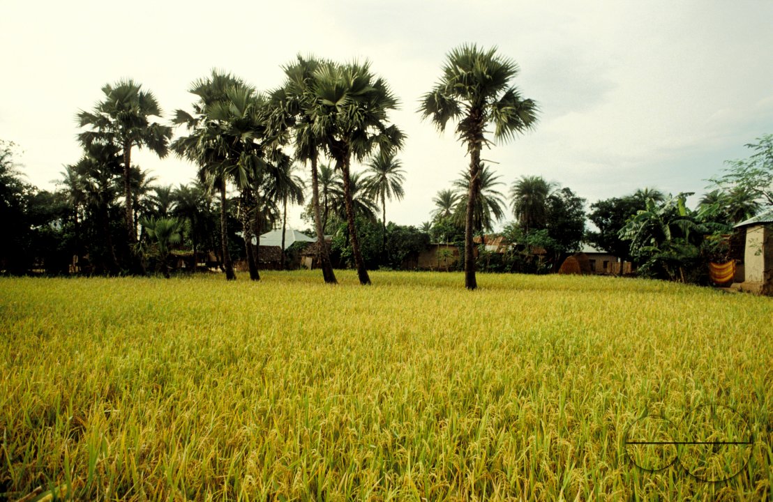 MWC02868