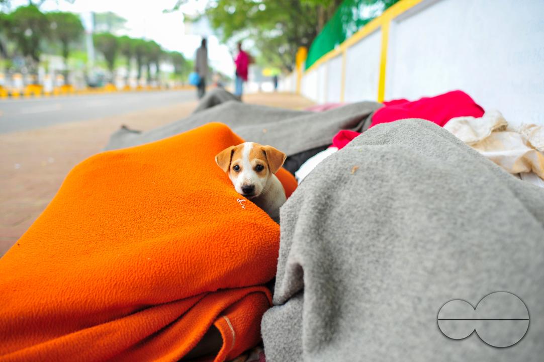 Covering their bodies from head to toe with whatever they can manage, homeless people sleep out in the open in the shivering cold near the Government Alia Madrasa in Sylhet city's Chowhatta area