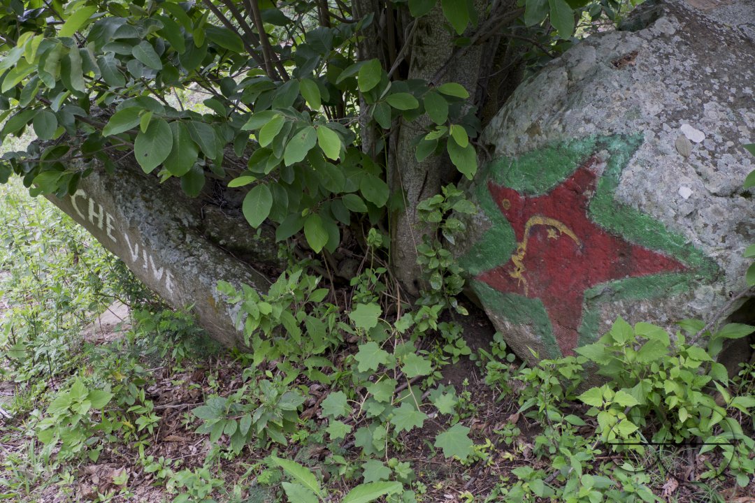 MWC026835