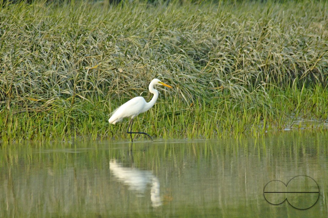 Sundarbans, Khulna, Bangladesh
