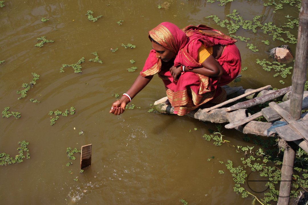 Palanquin_Bangladesh