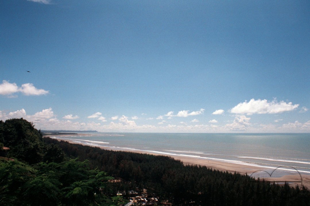 MWC004178