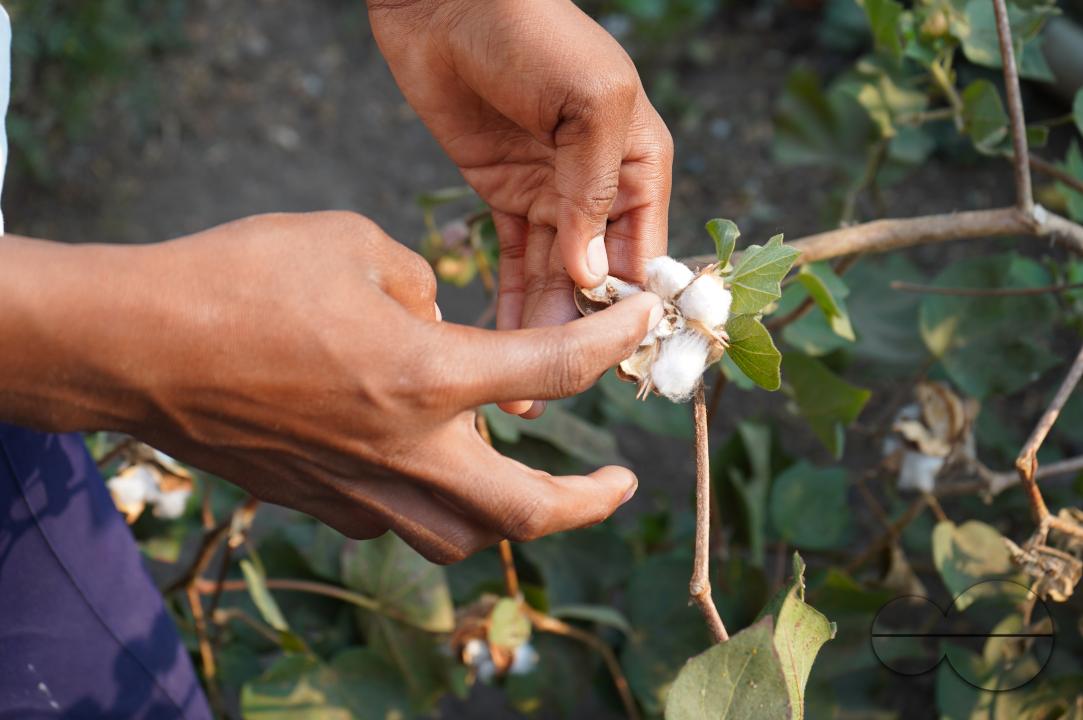 The Warapgaon village, located in Beed districtâs Ambajogai taluka, was in the grip of a deadly drought in 2015