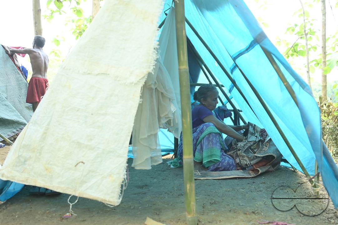 Makeshift tents at the Panisagar's reserve forest area