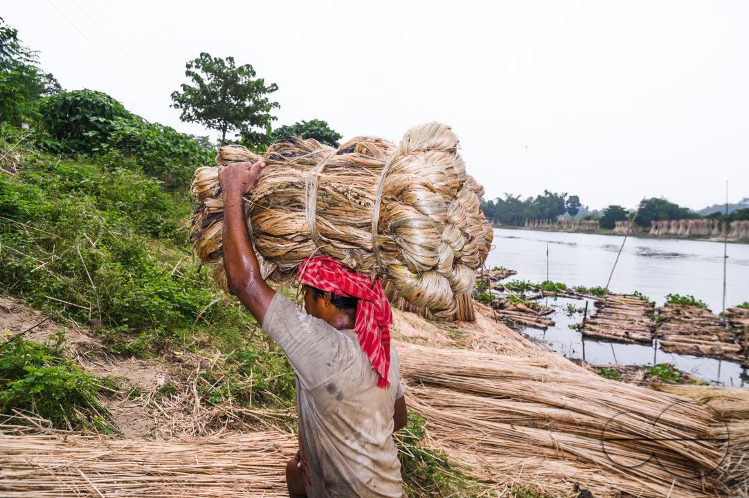 The Asia Pacific region, led by major jute producer India, dominates the Jute Bags Market