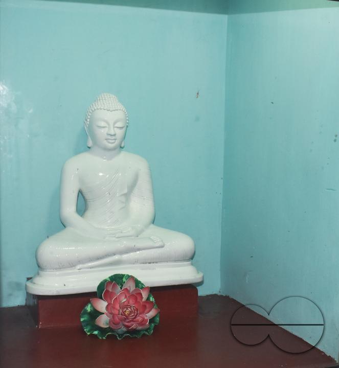 MWC048233