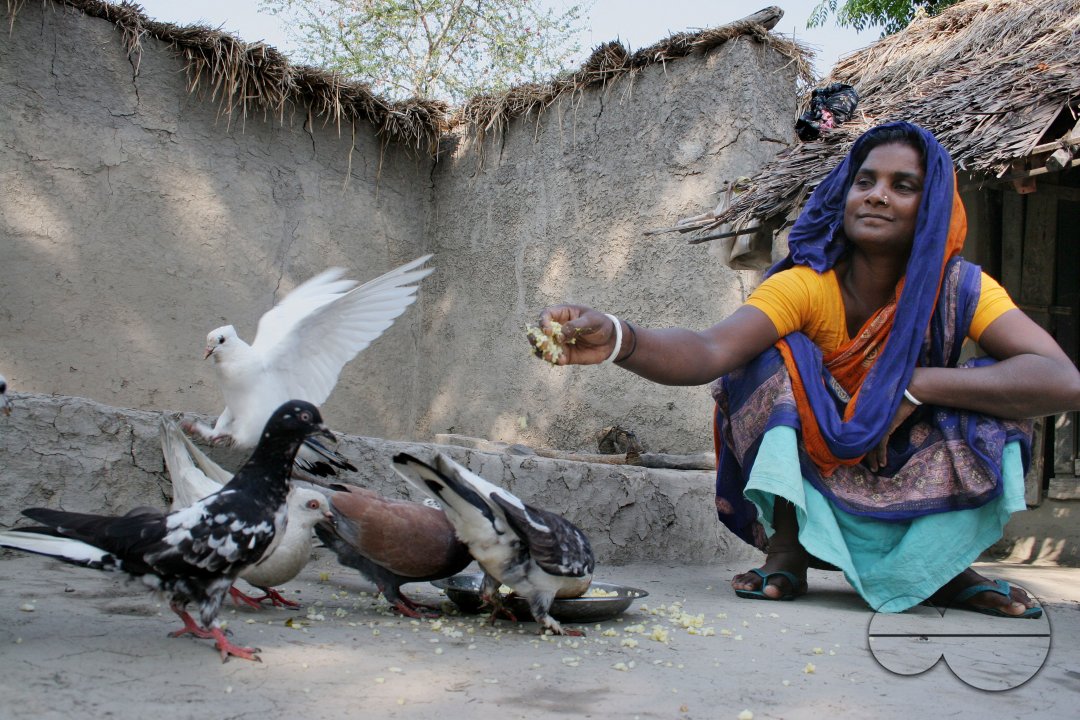 Palanquin_Bangladesh