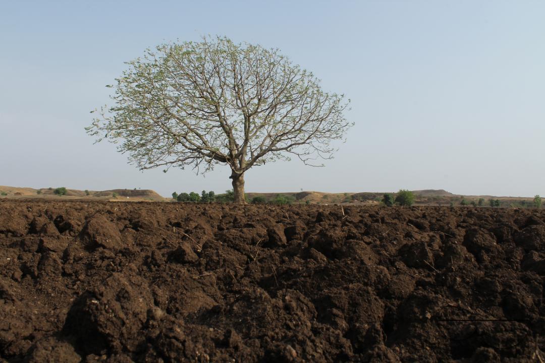 MWC045760