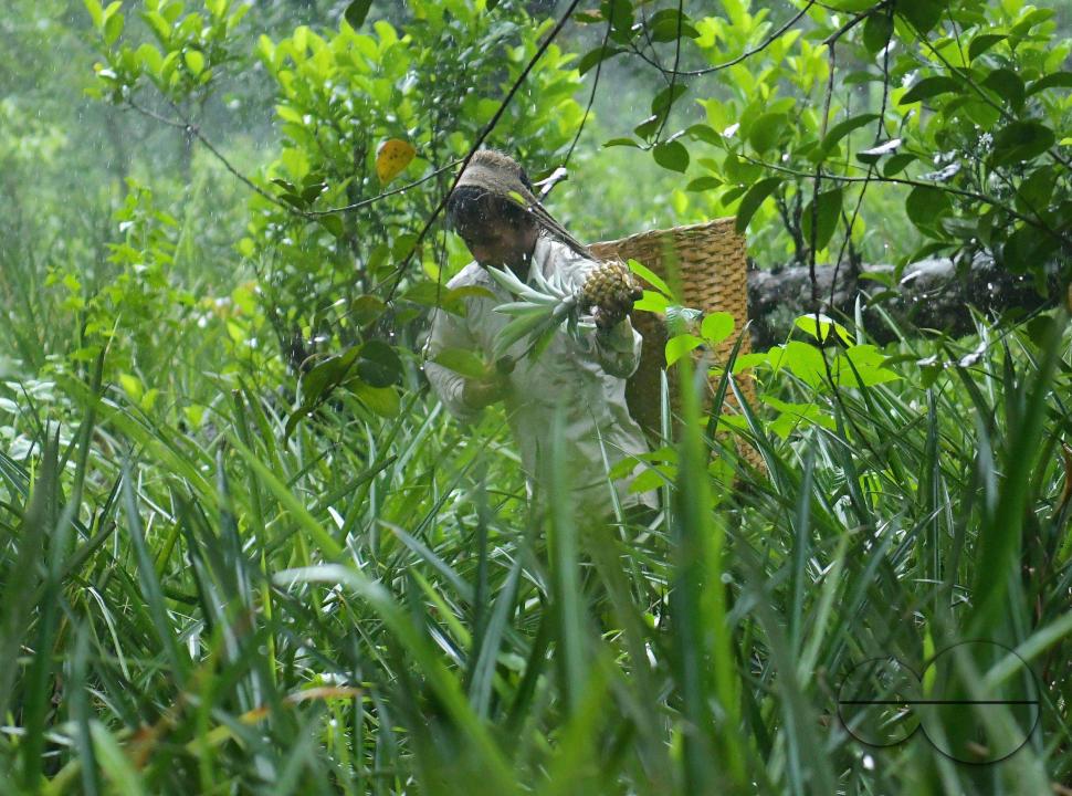 MWC048829