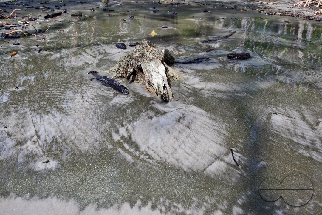 Sundarbans, Khulna