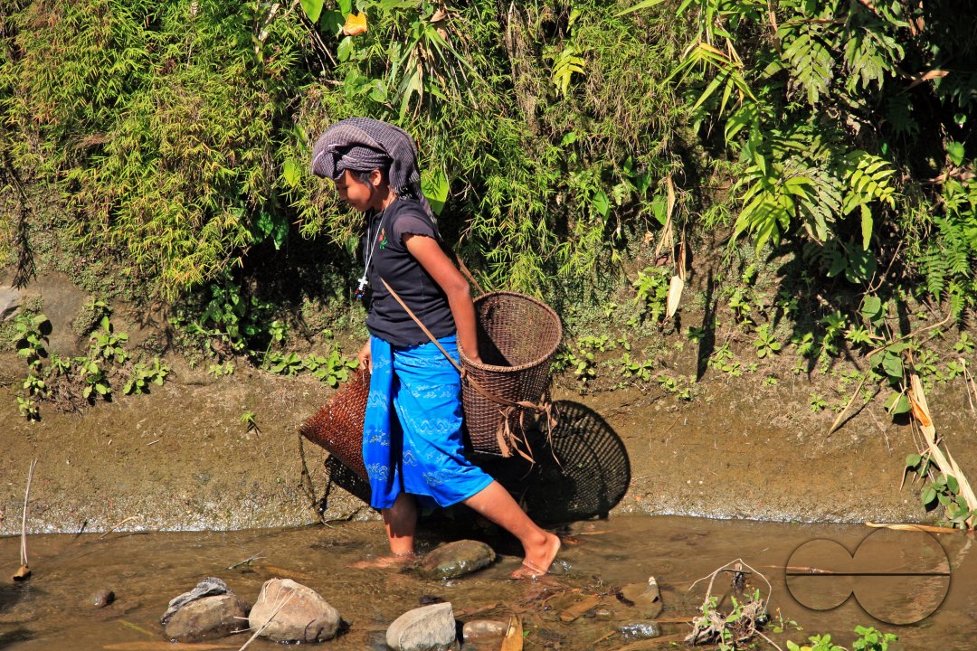 Lifestyle of Indigenous Tribal Peoples