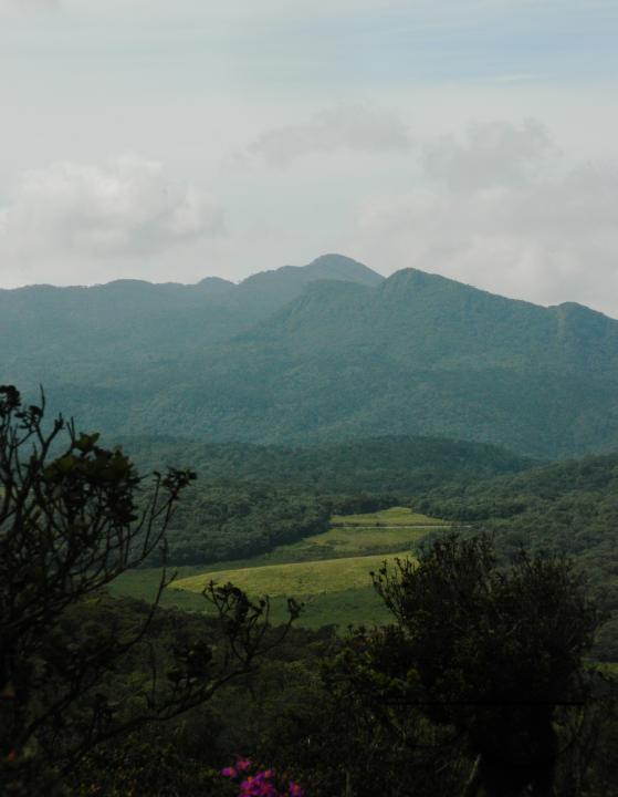 MWC052361