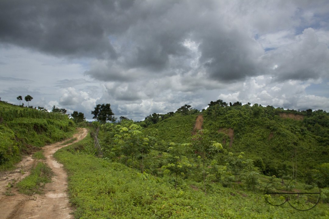 MWC020556