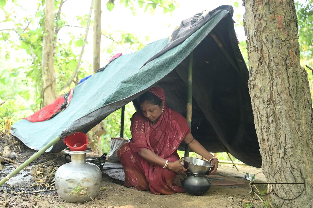 Makeshift tents at the Panisagar's reserve forest area