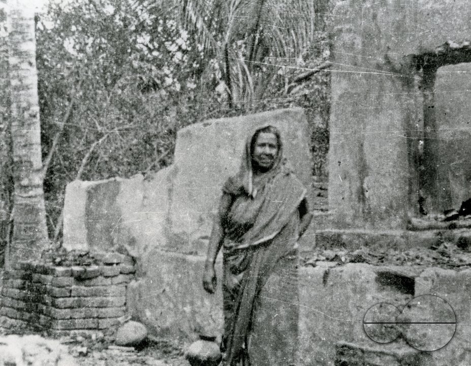 MWC008528