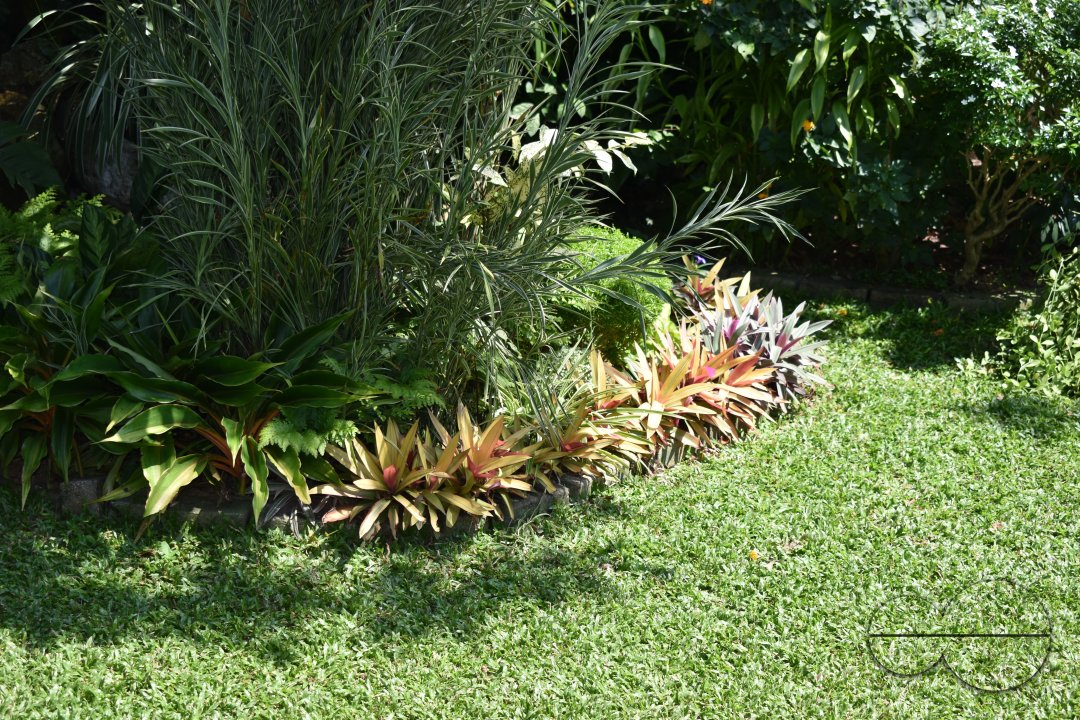 MWC034609