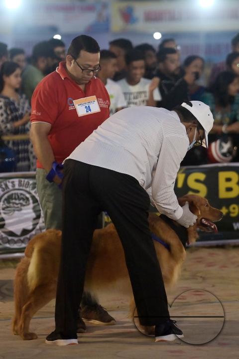 Judges are checking the dogs during the Agartala Dog Carnival-2024, organized by Tripura Veterinary Doctors Association & Pawsome (A social organisation) at Agartala