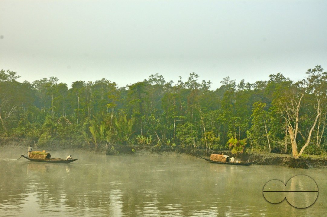 Sundarbans, Khulna, Bangladesh