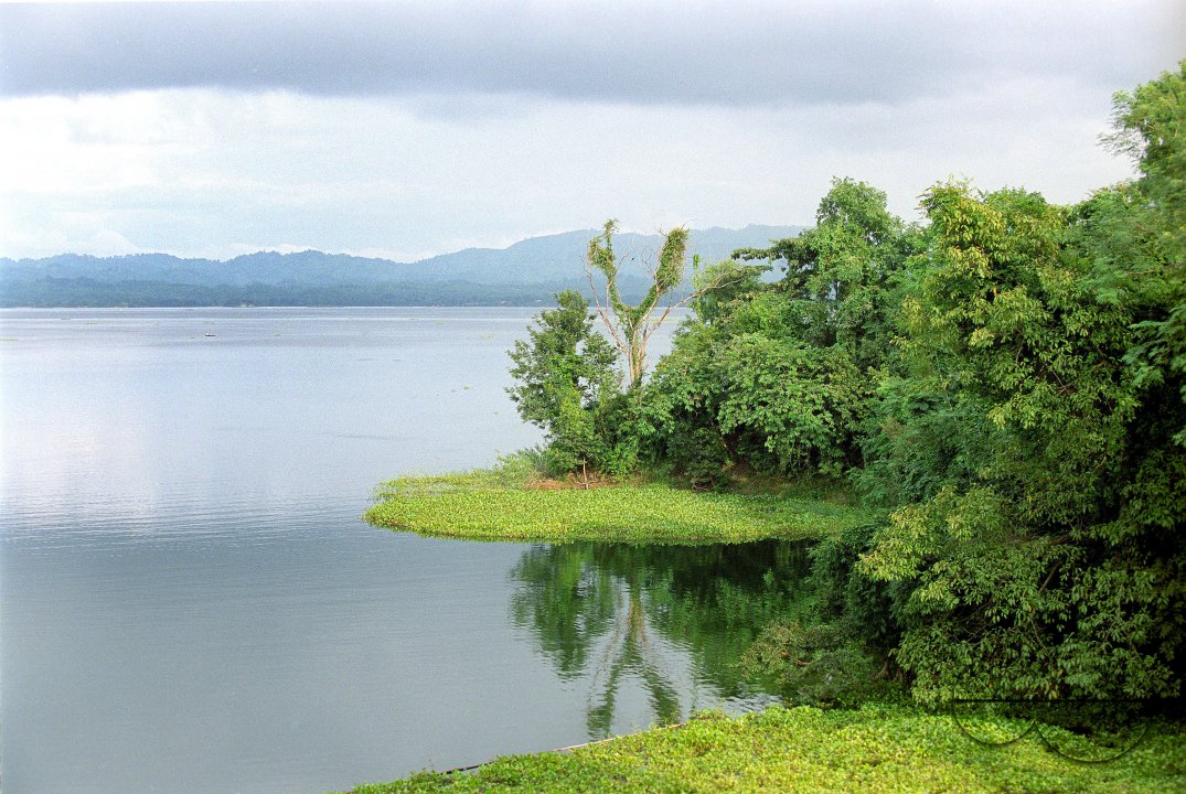 MWC004087