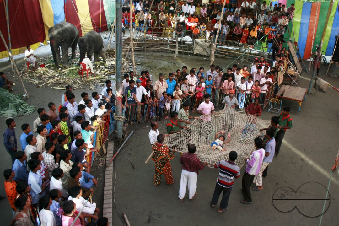 MWC015542