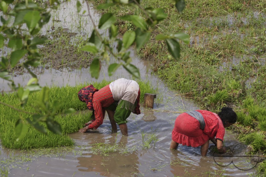 Nepal