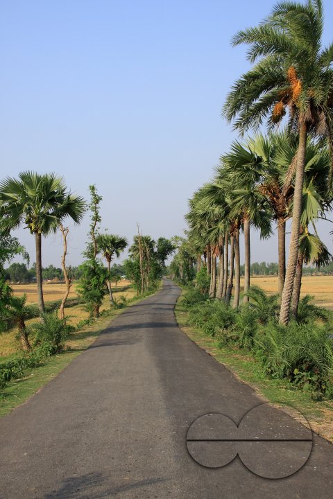 MWC020633