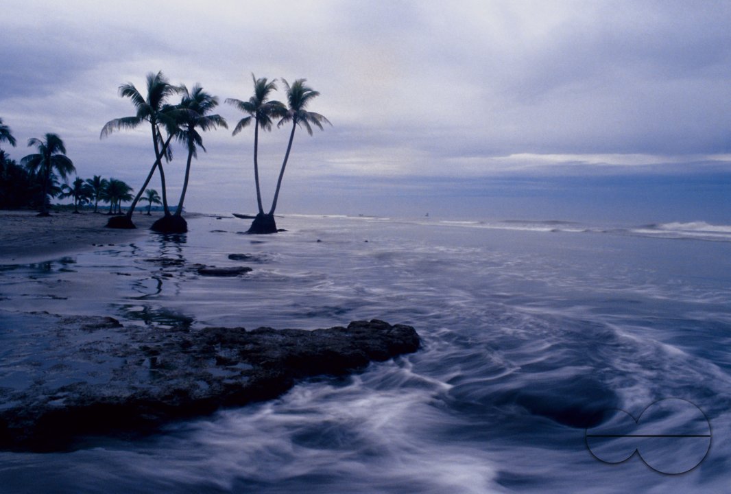 MWC004099