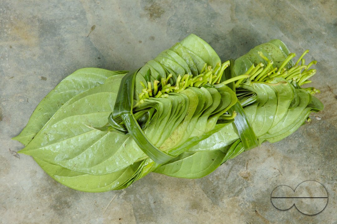 Betel Leaf