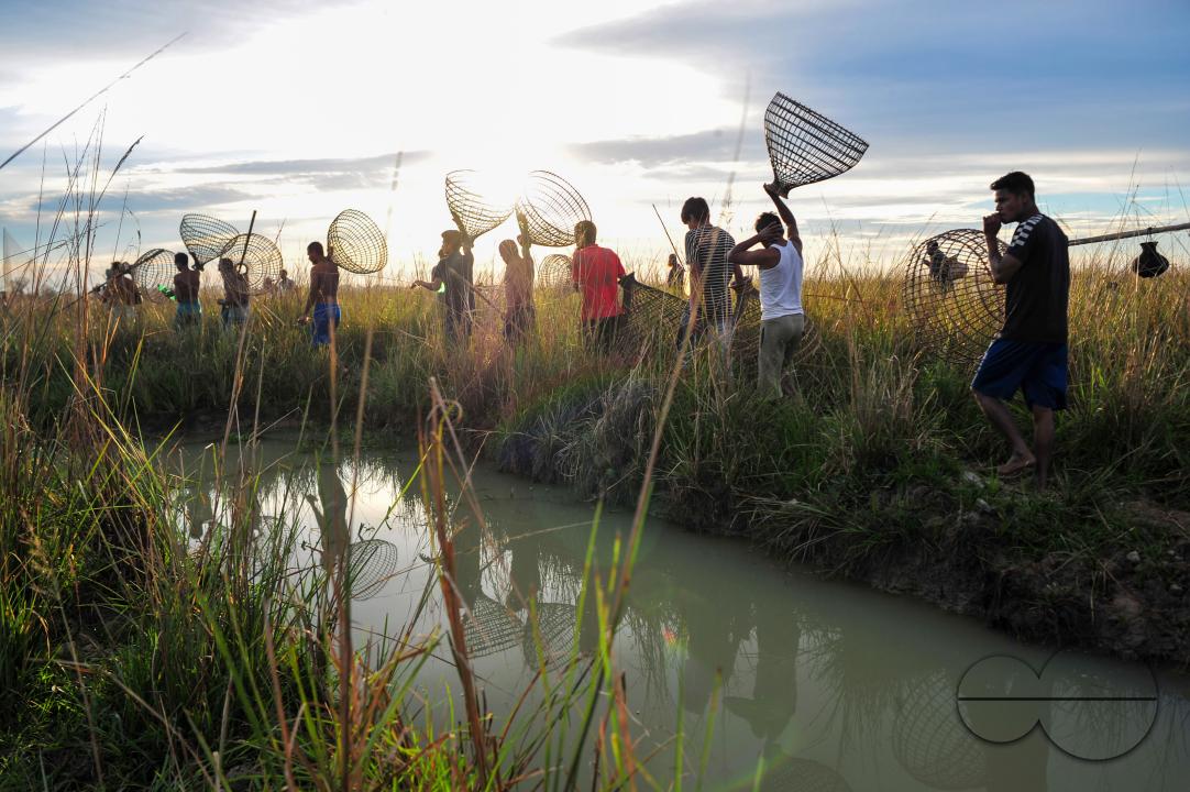 Rural people armed with Bamboo fish traps and nets take part in celebrating a 200-year winter fishing festival at the jofra beel of gasbari union of Kanaighat upazila of Sylhet, Bangladesh.