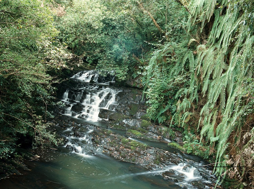 MWC003839