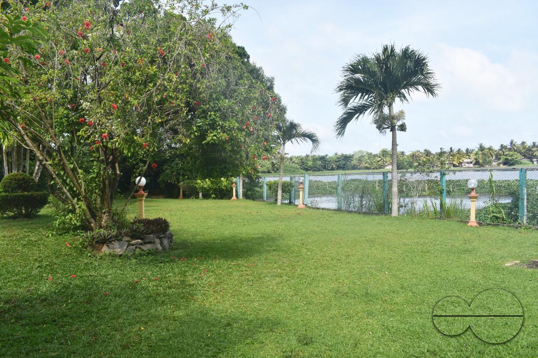 MWC049290