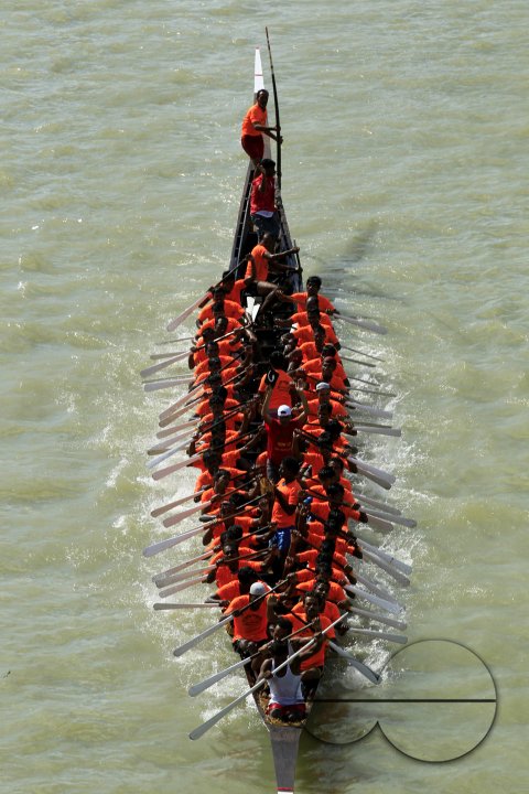 MWC023772