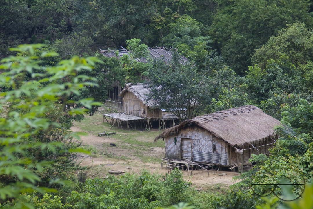 MWC012772