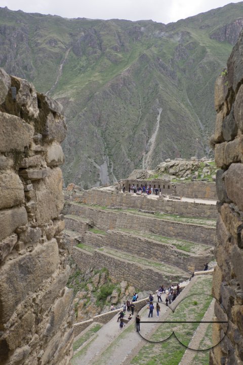 MWC026863