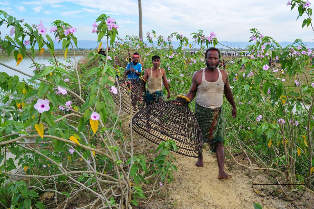 Rural people armed with Bamboo fish traps and nets take part in celebrating a 200-year winter fishing festival at the jofra beel of gasbari union of Kanaighat upazila of Sylhet, Bangladesh.