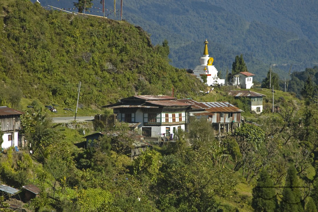 MWC012786