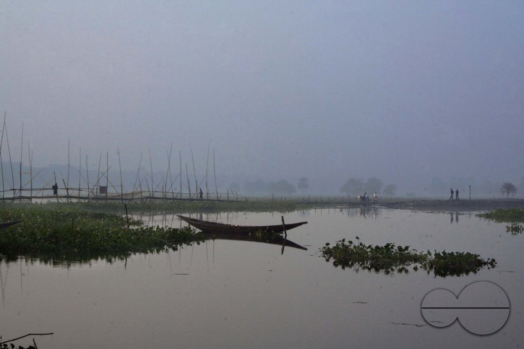 MWC004239