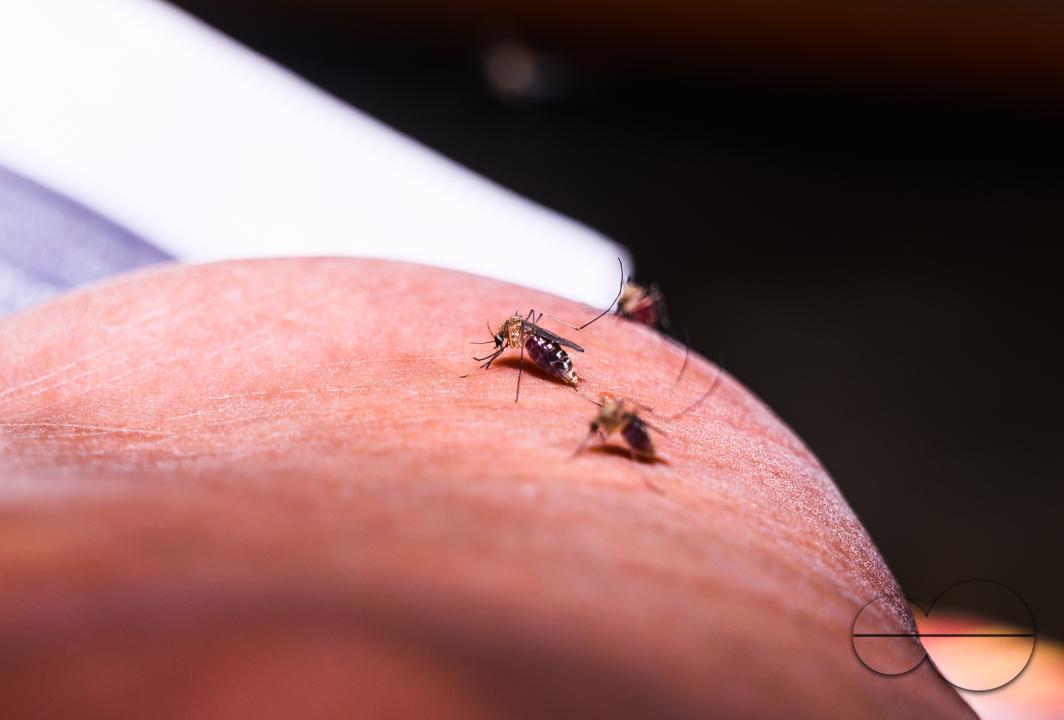 According to WHO's latest World Malaria Report, there were an estimated 249 million malaria cases in 85 malaria-endemic countries, and an increase of 58 per 1000 population risk and 608â000 malaria deaths worldwide in 2022