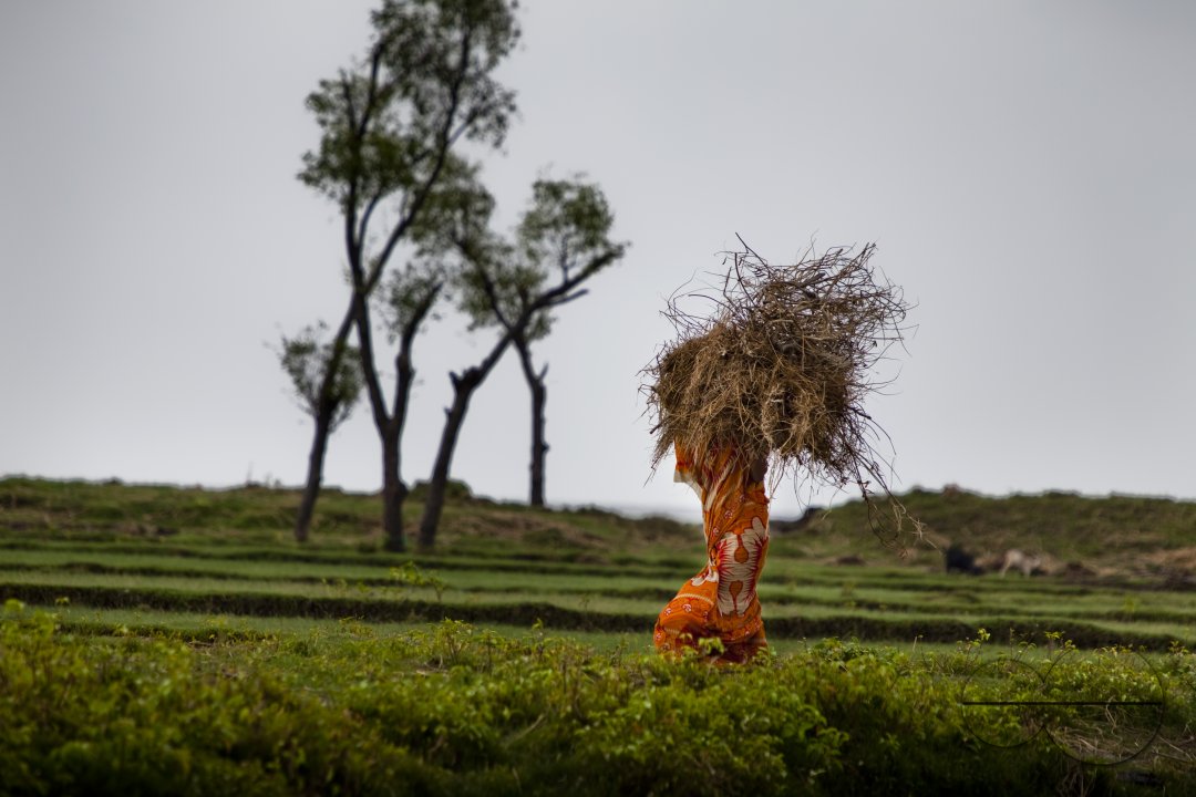 Climate refugees