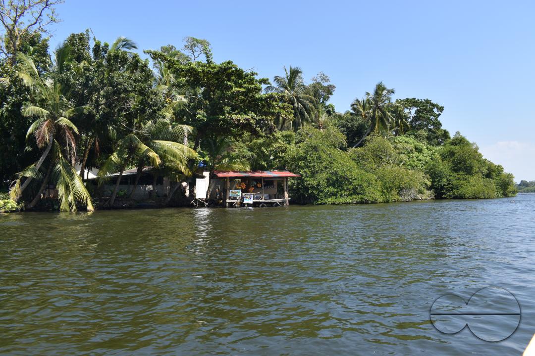 MWC044889