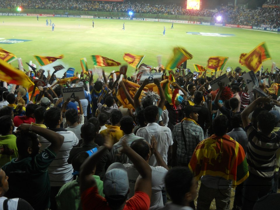 Cricket Fans