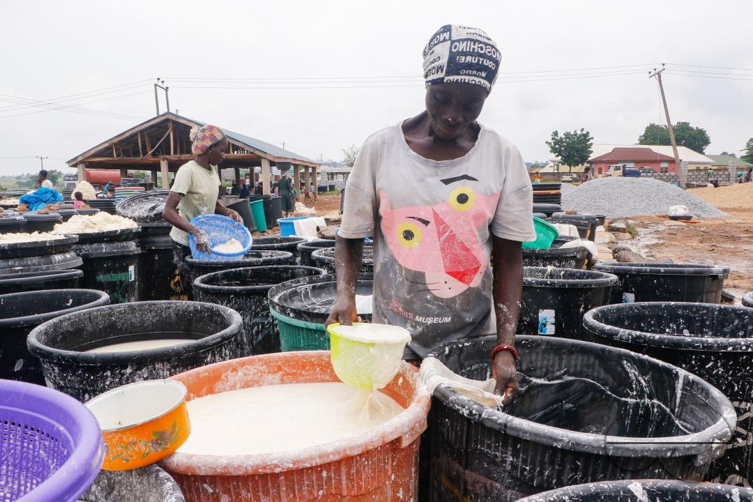 Females in Abuja are struggling and making strides in a local cassava processing factory under difficult conditions to produce flour as they wash out chaff from fermented cassava