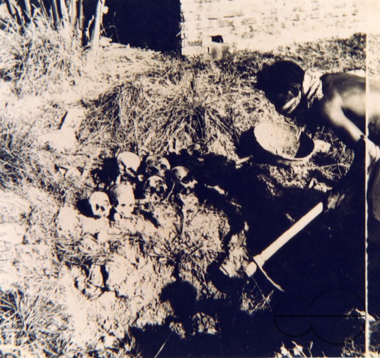 MWC008419