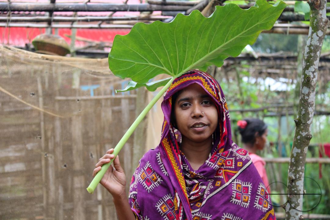 Rural Bangladeshi children happily posing for a photograph while covering their heads with a big leaf to prevent the sun