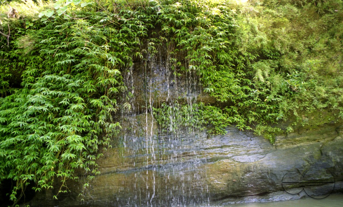 MWC003765